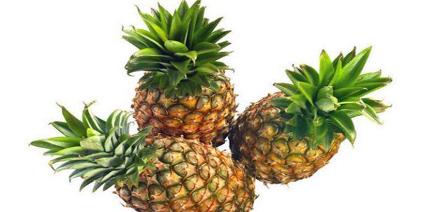 菠萝发酵可以当肥料，菠萝皮泡水可以浇花吗图1